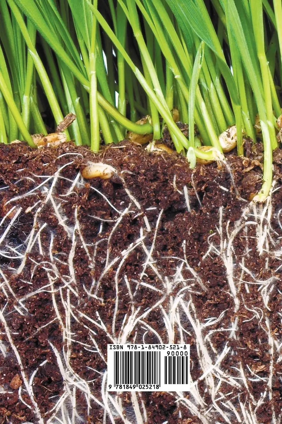 Rückseite: 9781849025218 | Farming and Gardening for Health or Disease | Albert Howard | Buch