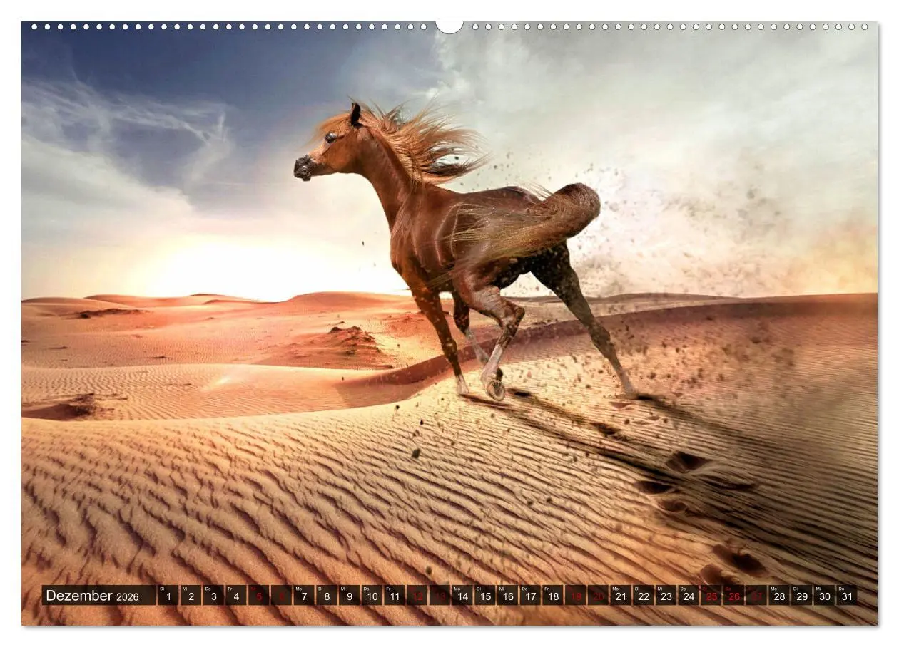 Bild: 9783457545218 | Pferde - wild und ungezähmt (Wandkalender 2026 DIN A2 quer),...