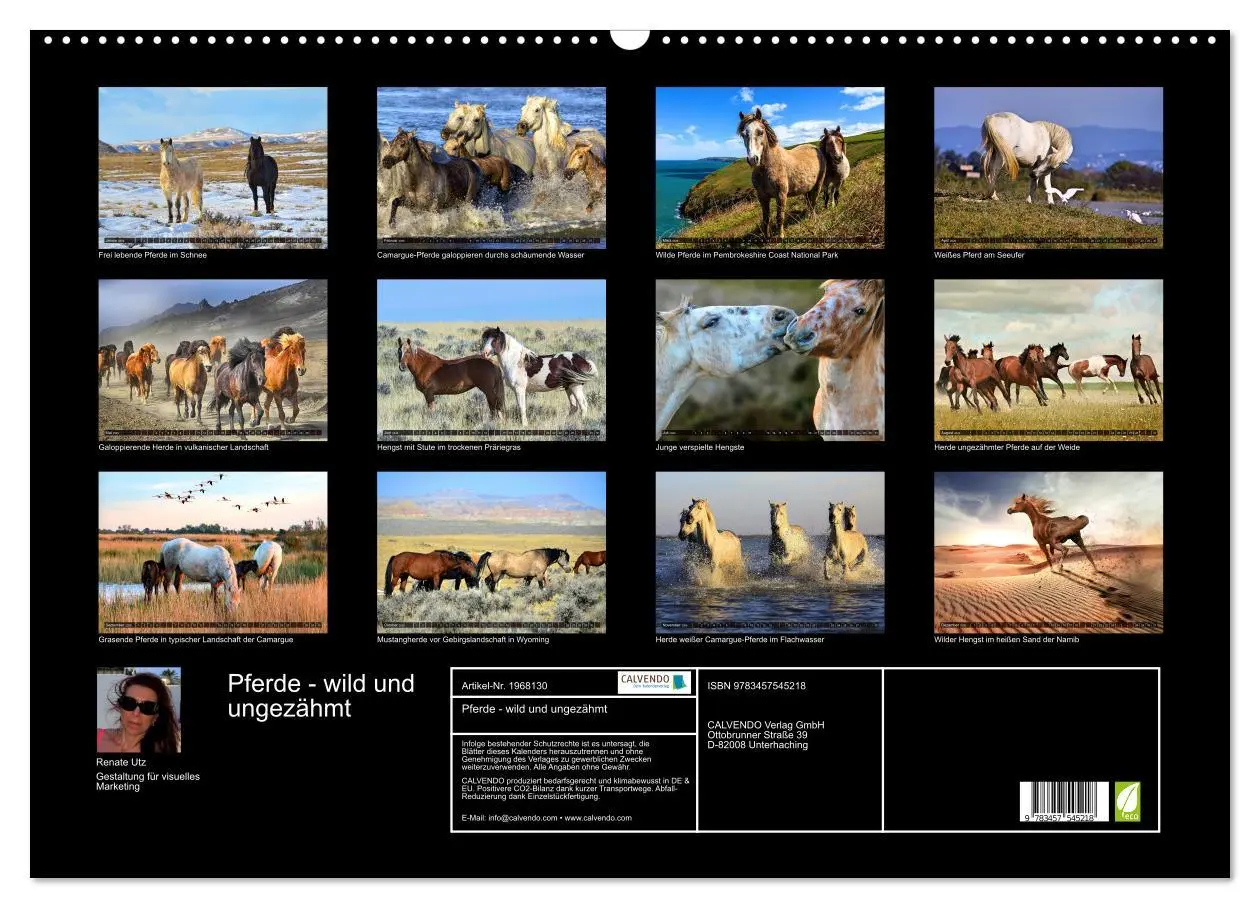 Bild: 9783457545218 | Pferde - wild und ungezähmt (Wandkalender 2026 DIN A2 quer),...