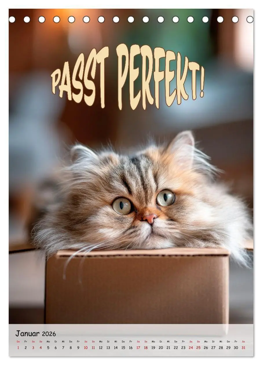 Bild: 9783516705218 | Tierisch erwischt (Tischkalender 2026 DIN A5 hoch), CALVENDO...