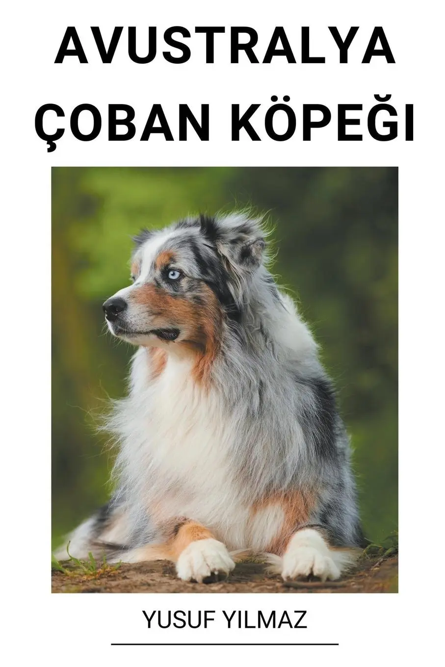 Cover: 9798215925218 | Avustralya Çoban Köpe¿i | Yusuf Yilmaz | Taschenbuch | Türkisch | 2023