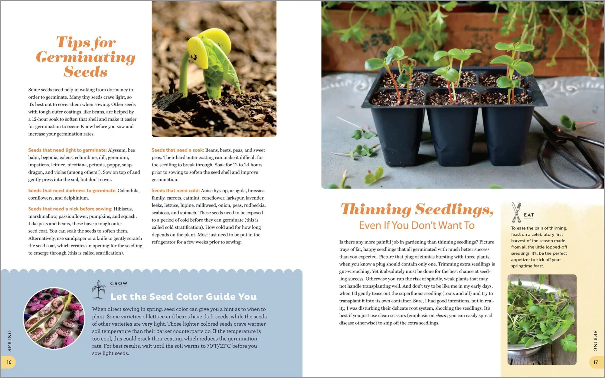 Bild: 9781635865318 | The Garden Maker's Book of Wonder | Allison Vallin Kostovick | Buch