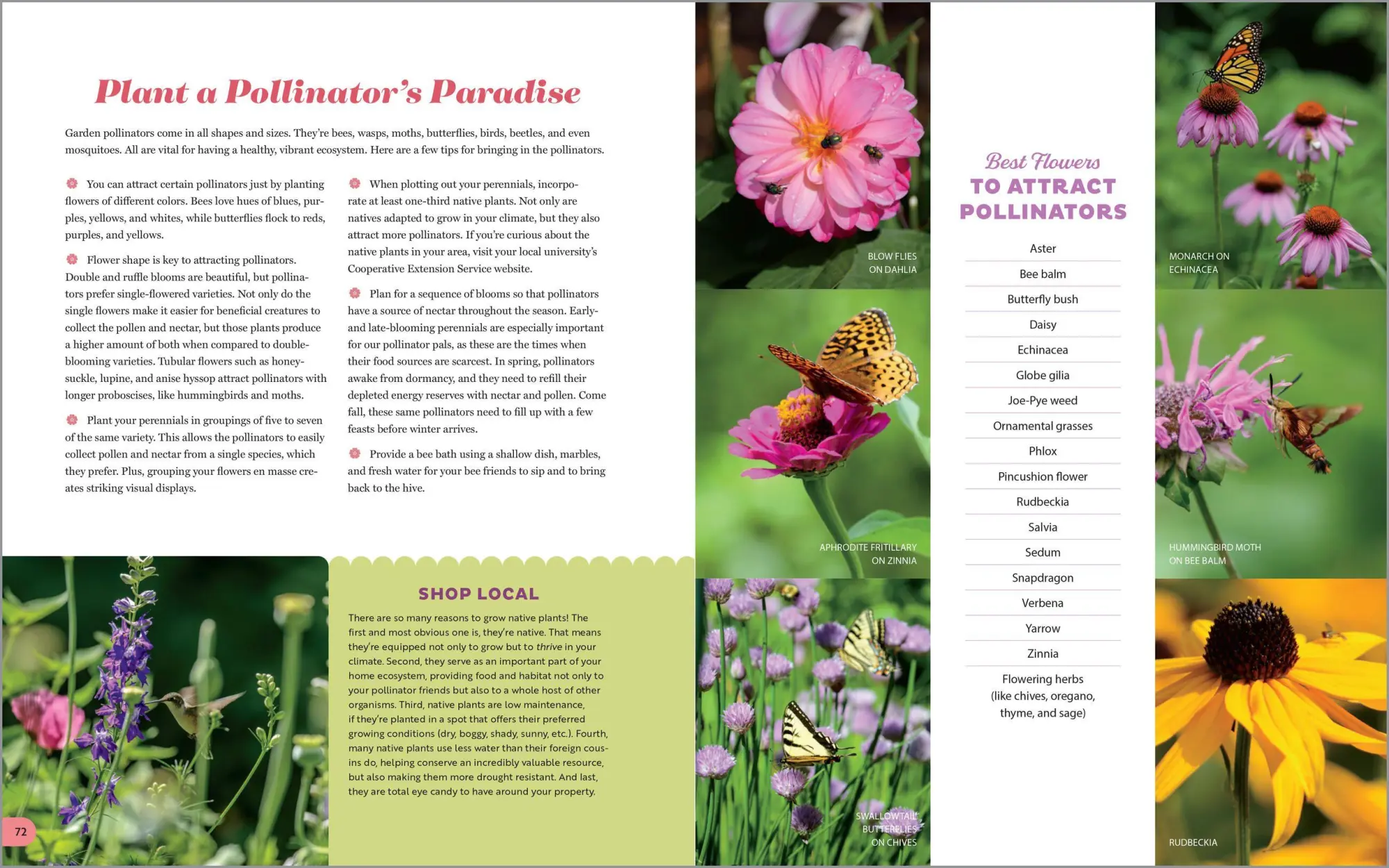 Bild: 9781635865318 | The Garden Maker's Book of Wonder | Allison Vallin Kostovick | Buch