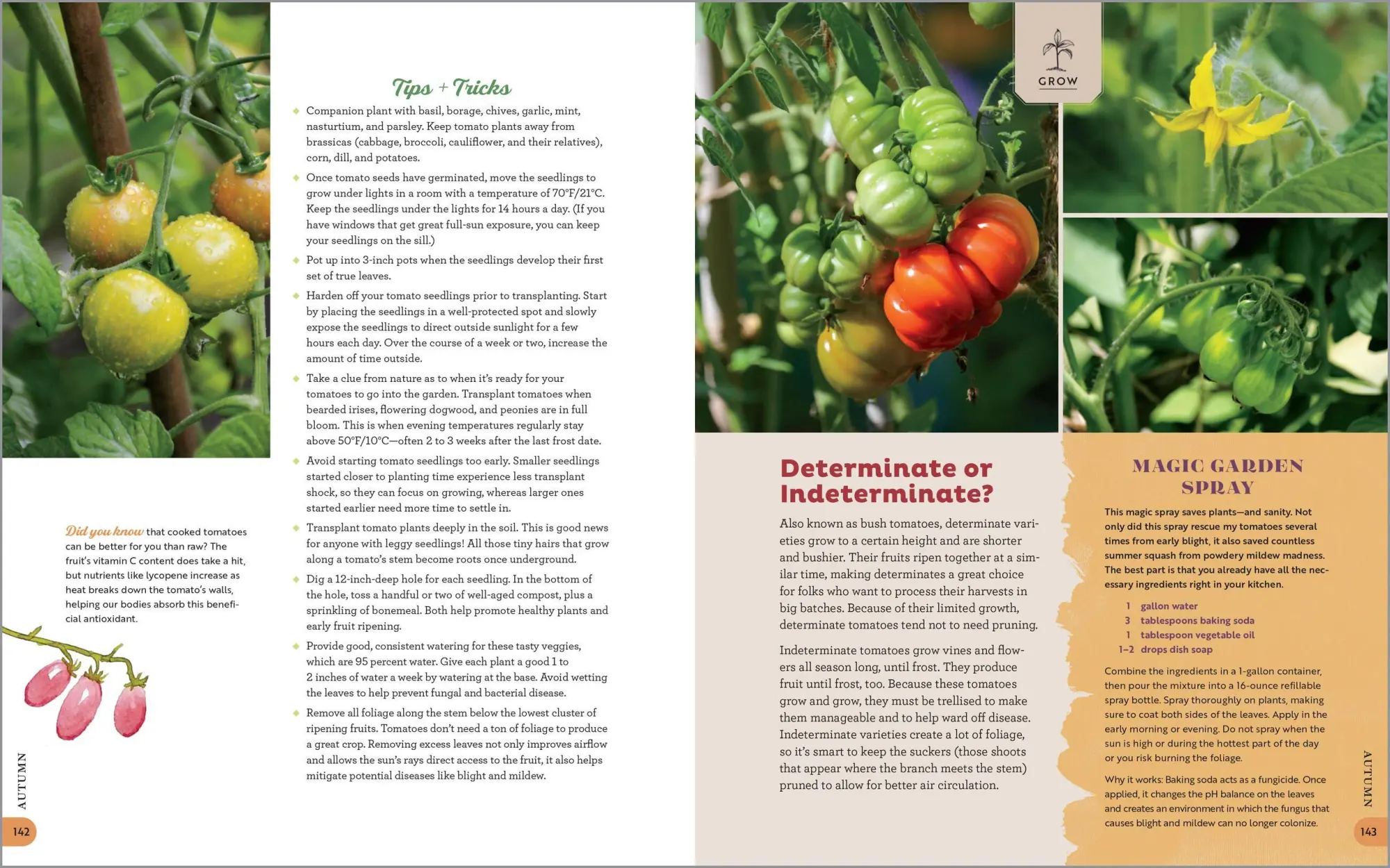 Bild: 9781635865318 | The Garden Maker's Book of Wonder | Allison Vallin Kostovick | Buch