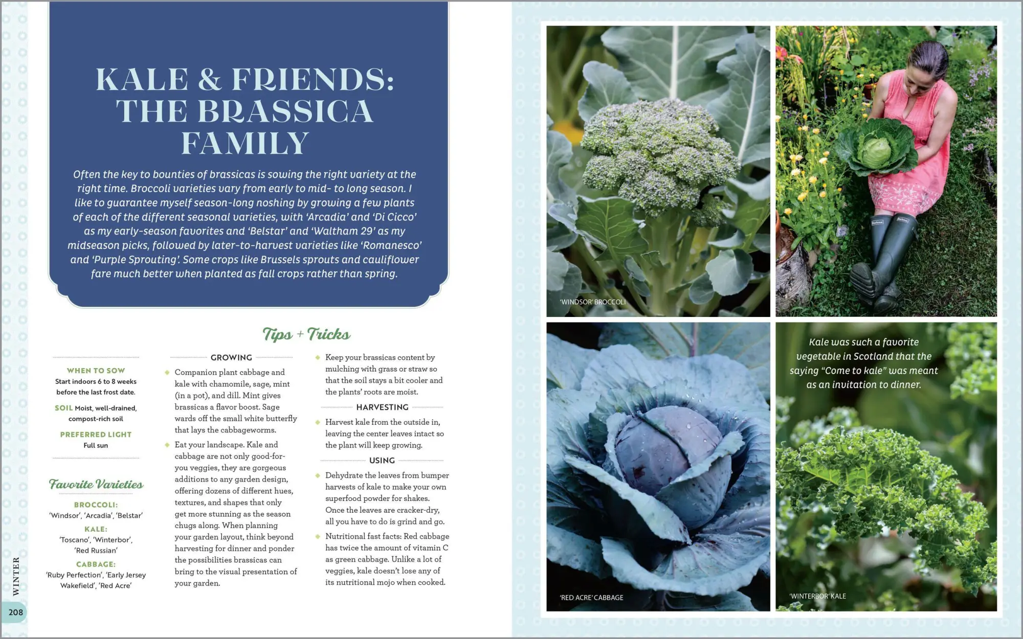 Bild: 9781635865318 | The Garden Maker's Book of Wonder | Allison Vallin Kostovick | Buch