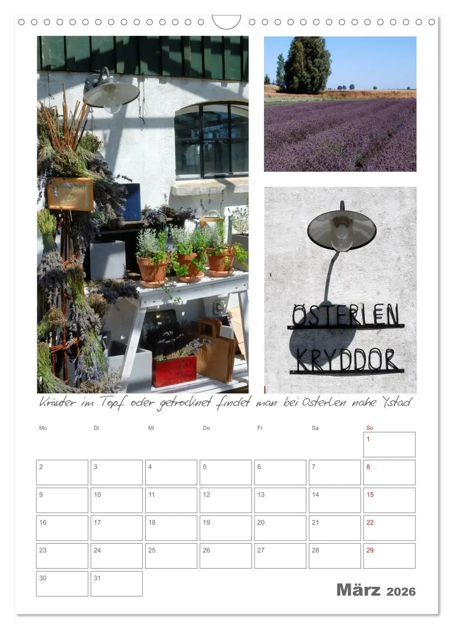 Bild: 9783516485318 | Gärten in Schweden (Wandkalender 2026 DIN A3 hoch), CALVENDO...