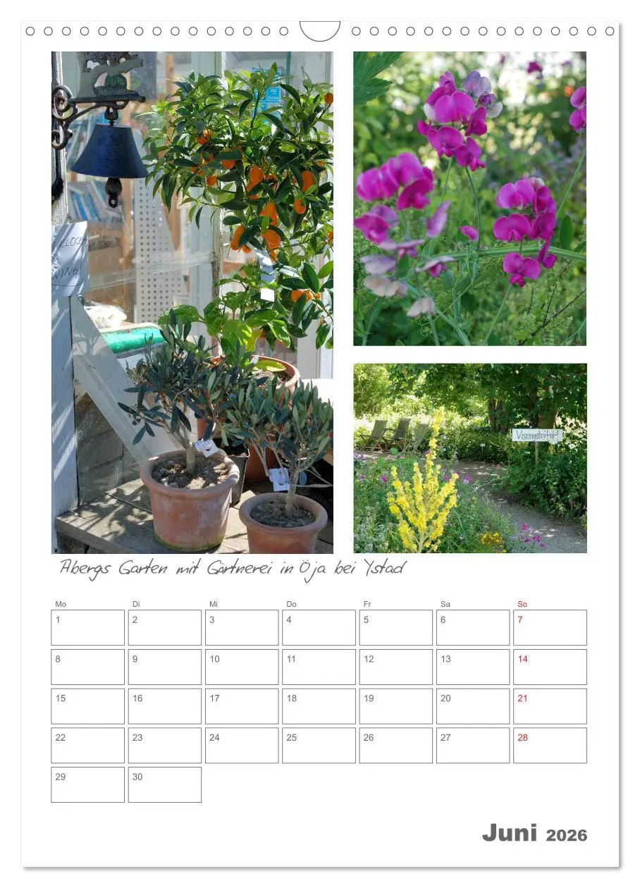 Bild: 9783516485318 | Gärten in Schweden (Wandkalender 2026 DIN A3 hoch), CALVENDO...
