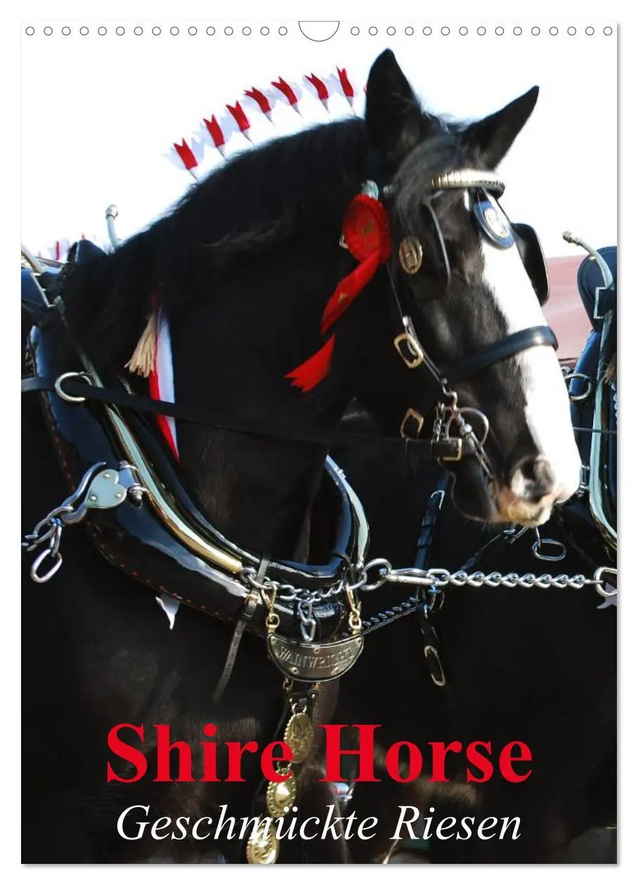 Cover: 9783516475418 | Shire Horse - Geschmückte Riesen (Wandkalender 2026 DIN A3 hoch),...