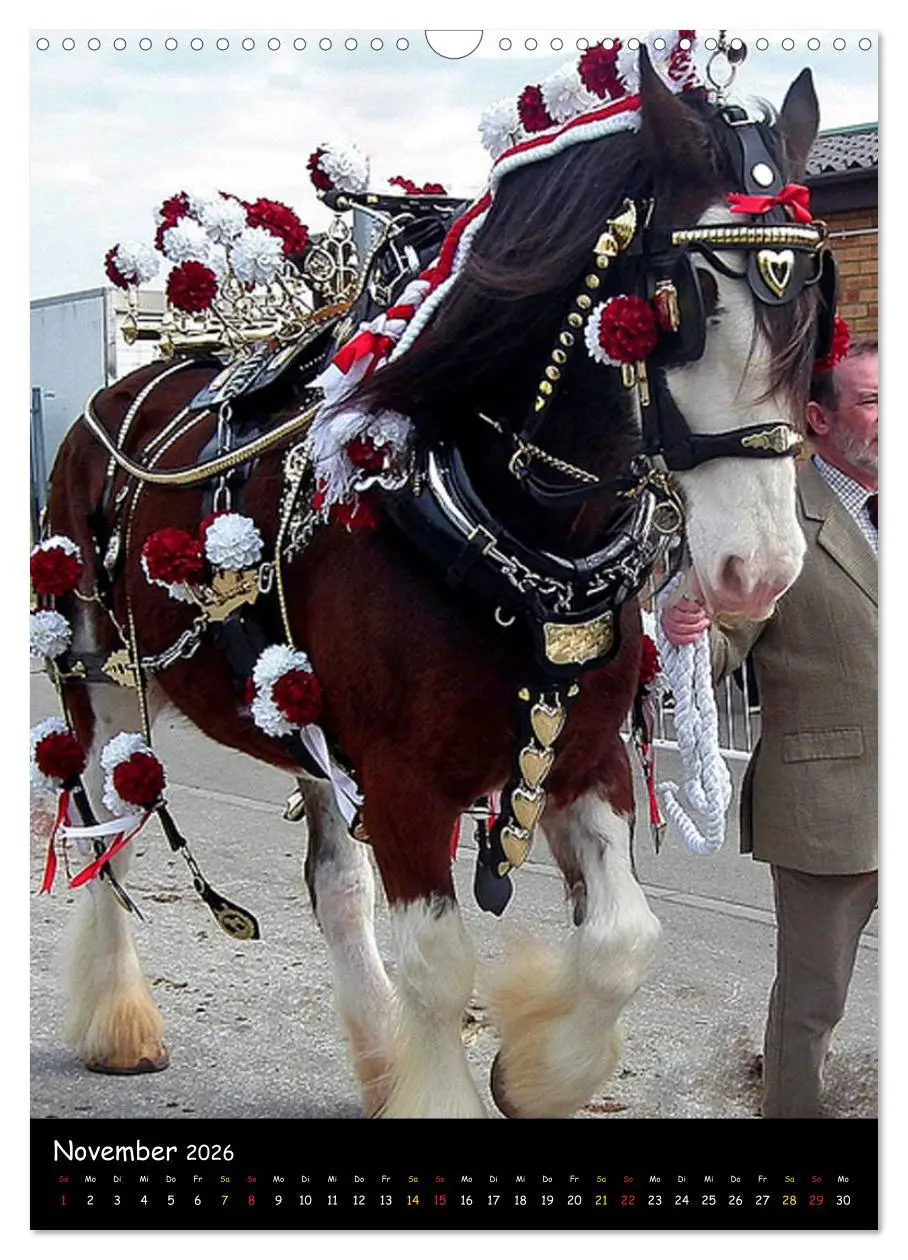 Bild: 9783516475418 | Shire Horse - Geschmückte Riesen (Wandkalender 2026 DIN A3 hoch),...