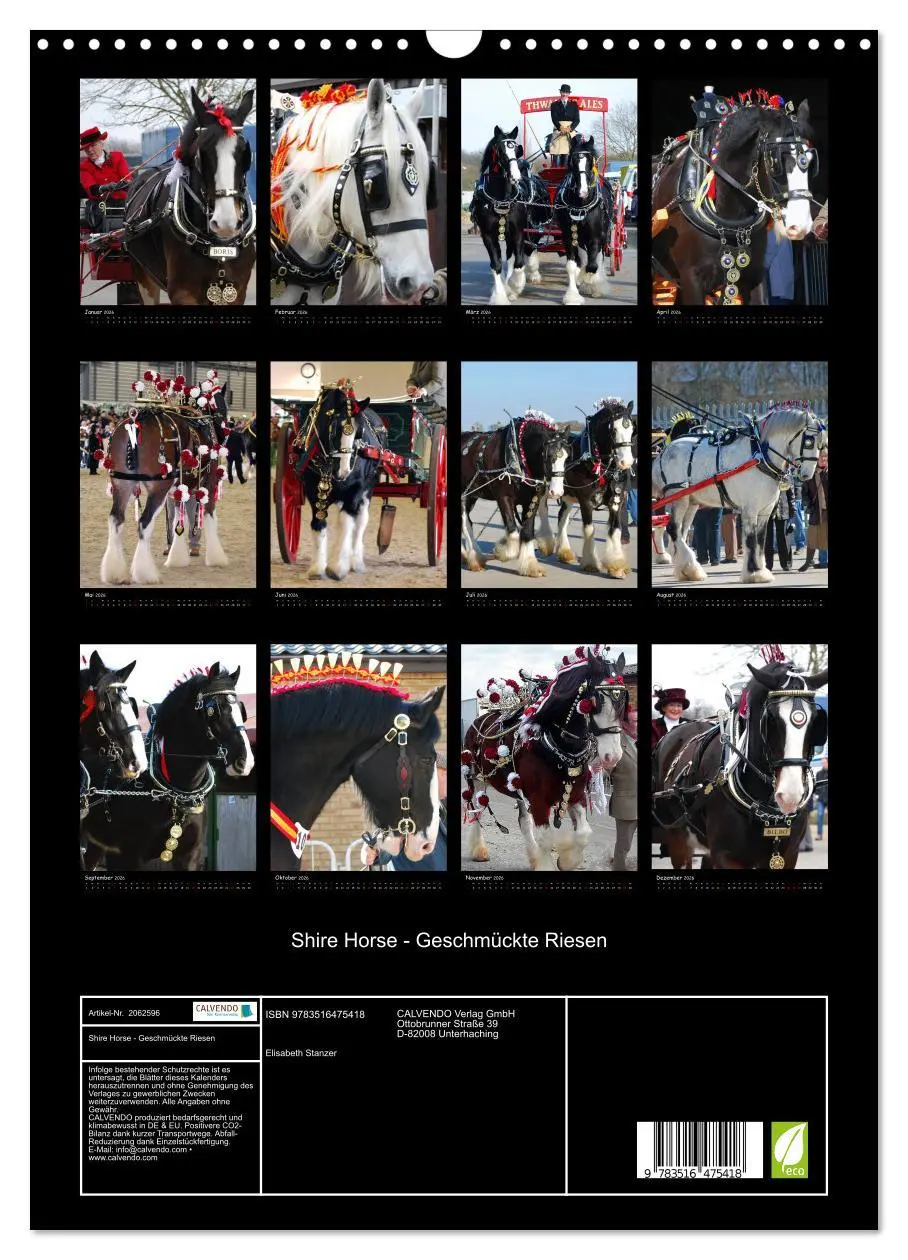 Bild: 9783516475418 | Shire Horse - Geschmückte Riesen (Wandkalender 2026 DIN A3 hoch),...