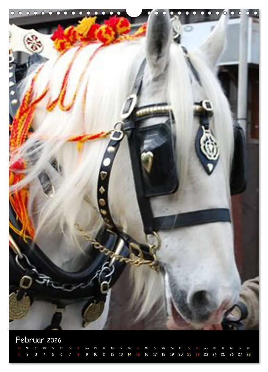 Bild: 9783516475418 | Shire Horse - Geschmückte Riesen (Wandkalender 2026 DIN A3 hoch),...