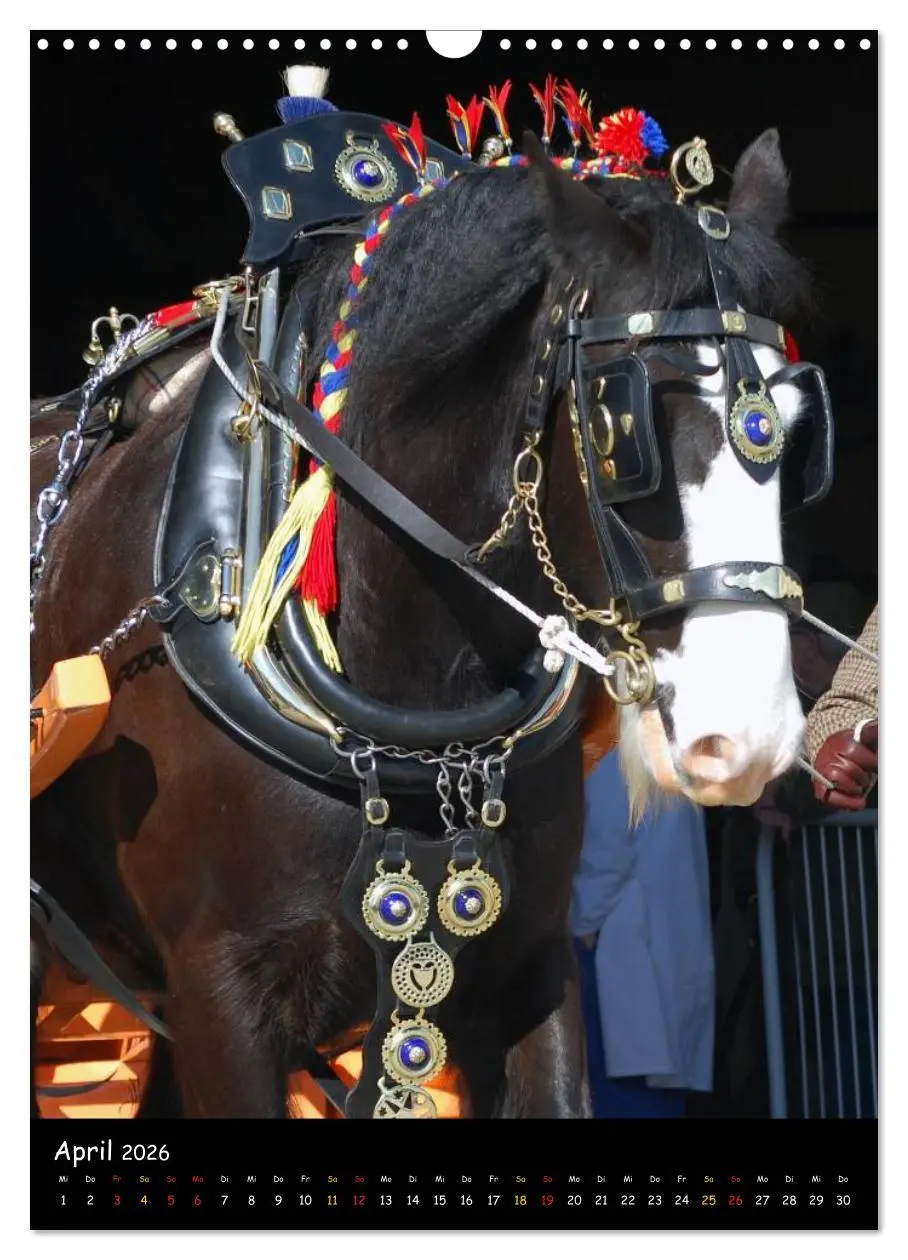 Bild: 9783516475418 | Shire Horse - Geschmückte Riesen (Wandkalender 2026 DIN A3 hoch),...