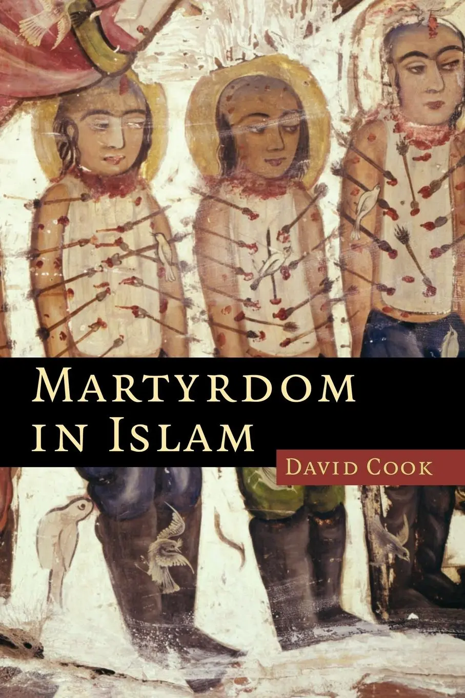 Cover: 9780521615518 | Martyrdom in Islam | David Cook | Taschenbuch | Englisch | 2008