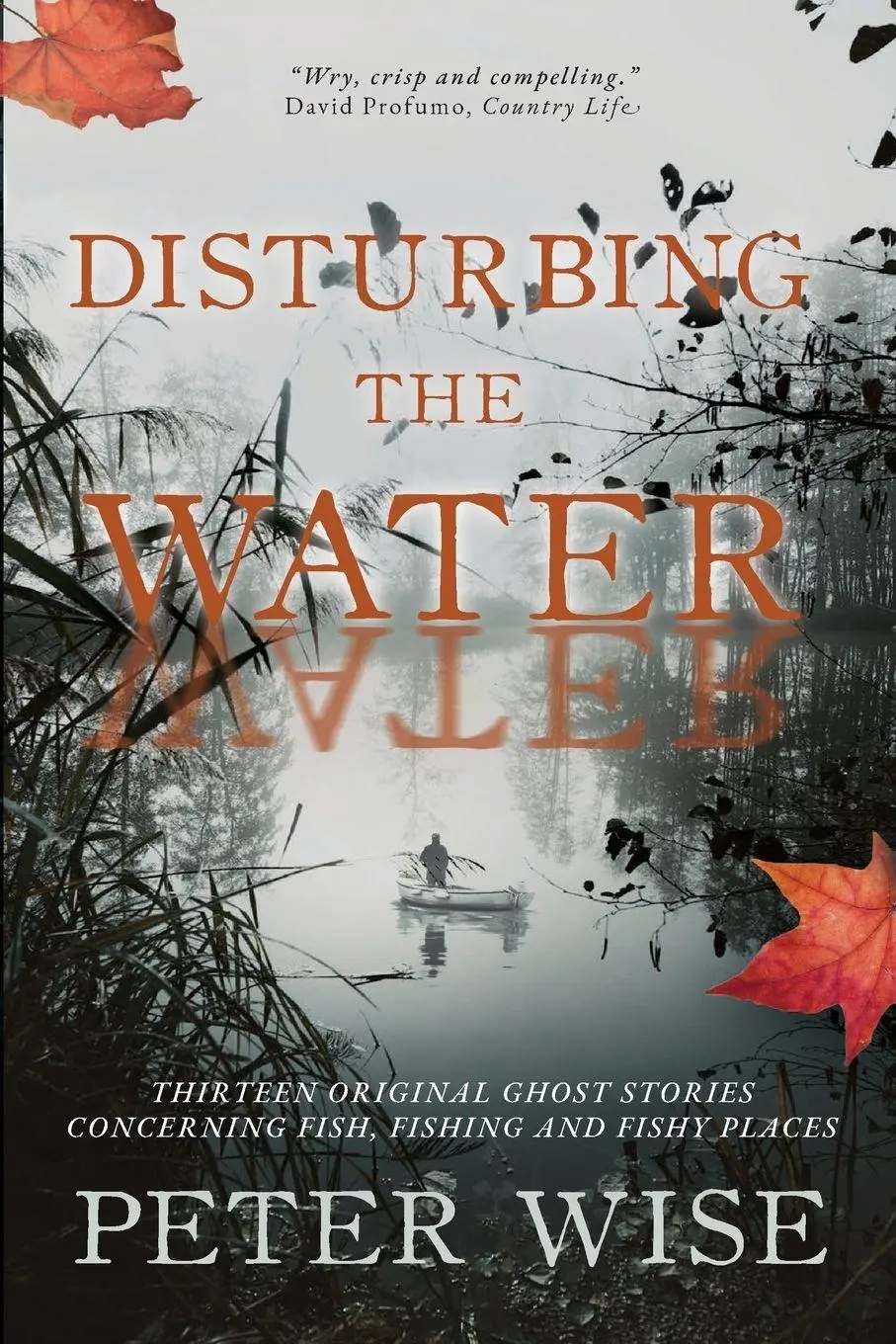 Cover: 9781068715518 | Disturbing the Water | Peter Wise | Taschenbuch | Englisch | 2024