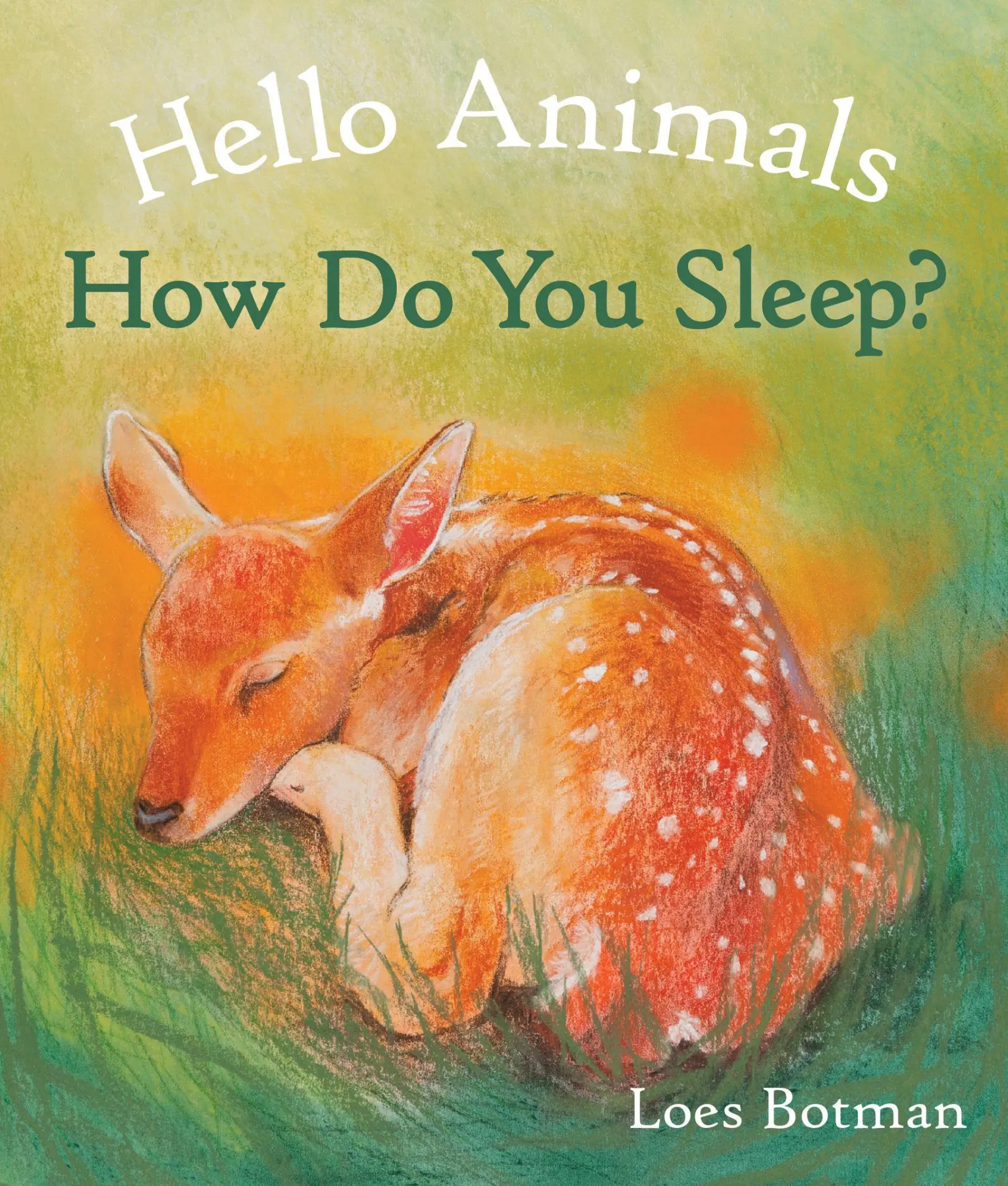Cover: 9781782505518 | Hello Animals, How Do You Sleep? | Loes Botman | Buch | Englisch
