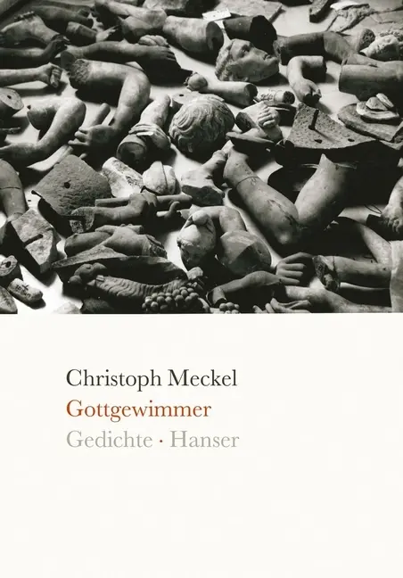 Cover: 9783446235618 | Gottgewimmer | Gedichte | Christoph Meckel | Buch | Gebunden | Deutsch