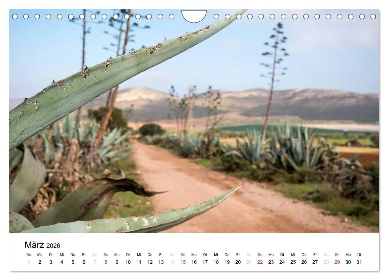 Bild: 9783457985618 | Fotoimpressionen aus Andalusien (Wandkalender 2026 DIN A4 quer),...