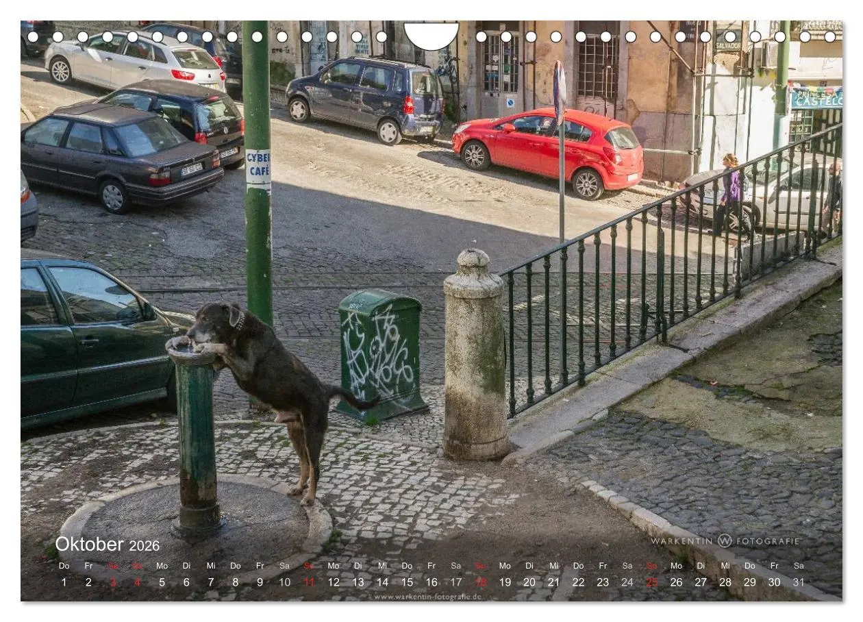 Bild: 9783516075618 | Zauberhaftes Lissabon (Wandkalender 2026 DIN A4 quer), CALVENDO...