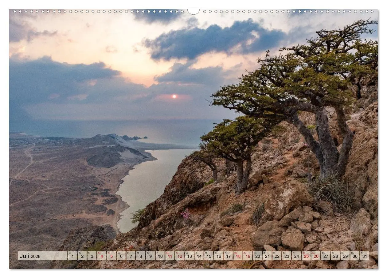 Bild: 9783516695618 | SOKOTRA - Magische Insel (hochwertiger Premium Wandkalender 2026...