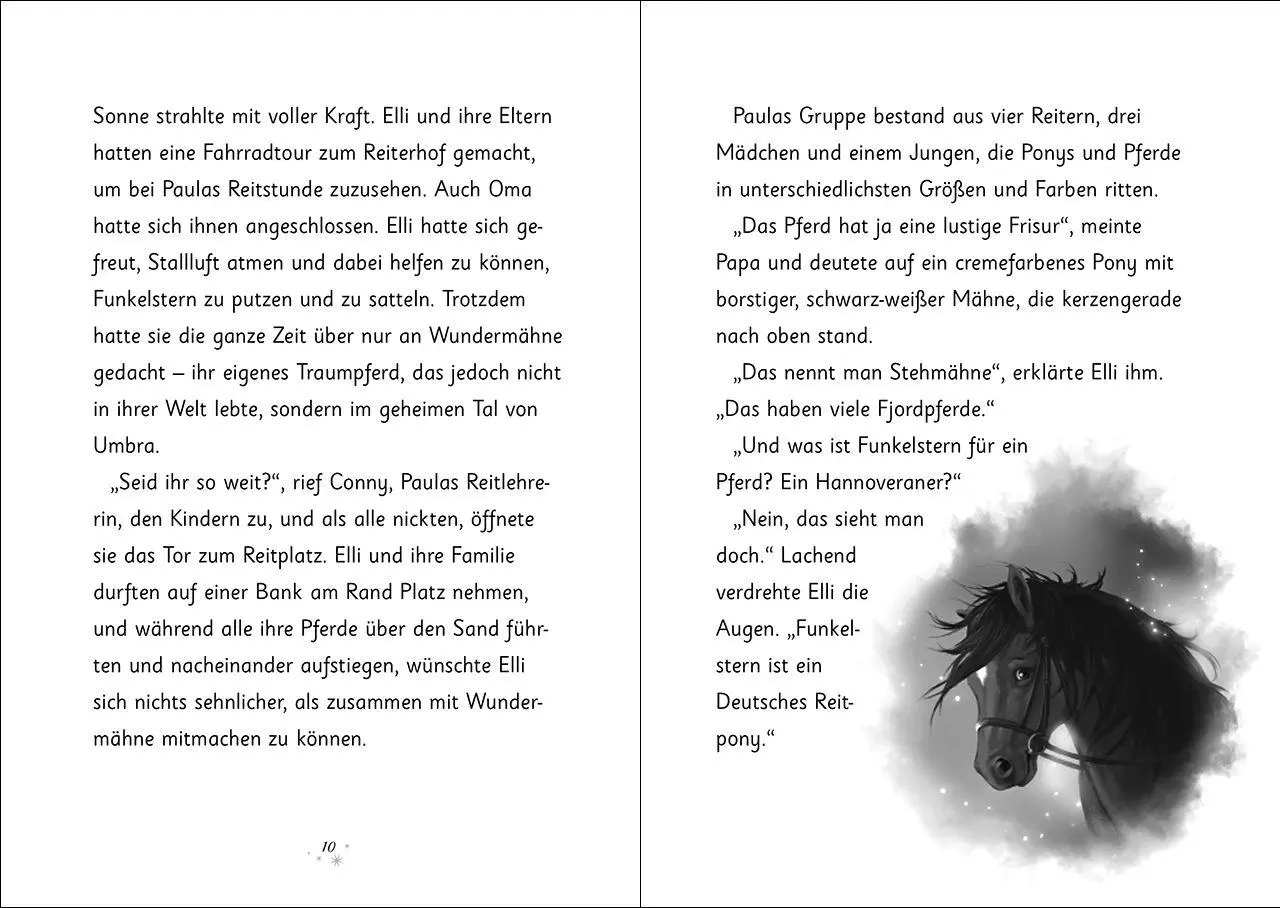 Bild: 9783743225718 | Wundermähne (Band 7) - Der magische Herzenswunsch | Jana Hoch | Buch