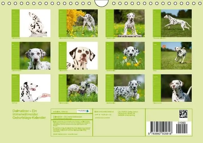 Bild: 9783660505818 | Dalmatiner - Ein immerwährender Geburtstags-Kalender (Wandkalender...