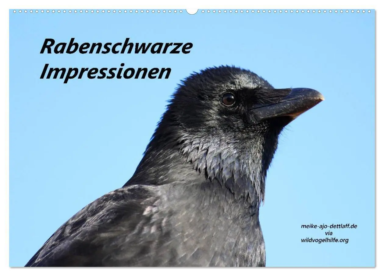 Cover: 9783516115918 | Rabenschwarze Impressionen - meike-ajo-dettlaff.de via...