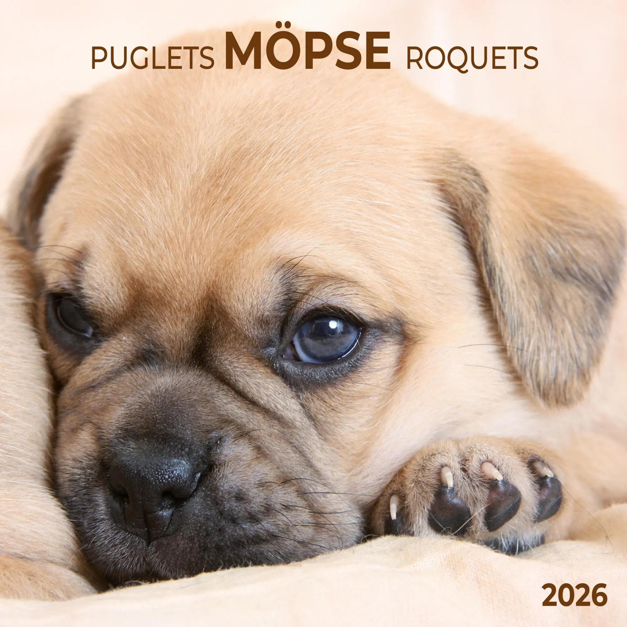 Cover: 9783959295918 | Möpse/Puglets 2026 | Kalender 2026 | Kalender | Artwork Edition | 2026