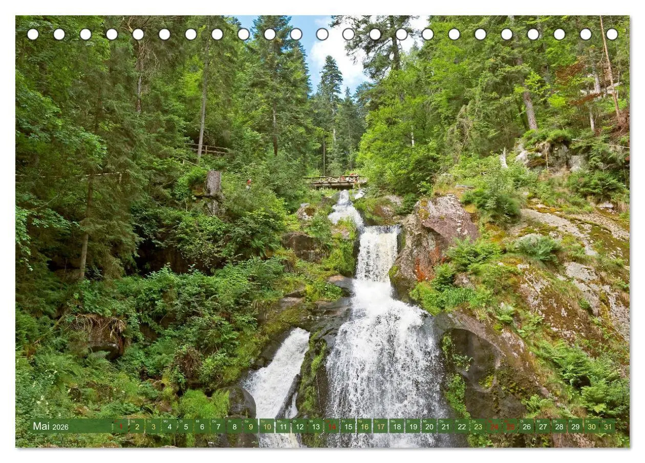 Bild: 9783457466018 | Schwarzwald - Märchenwald (Tischkalender 2026 DIN A5 quer),...