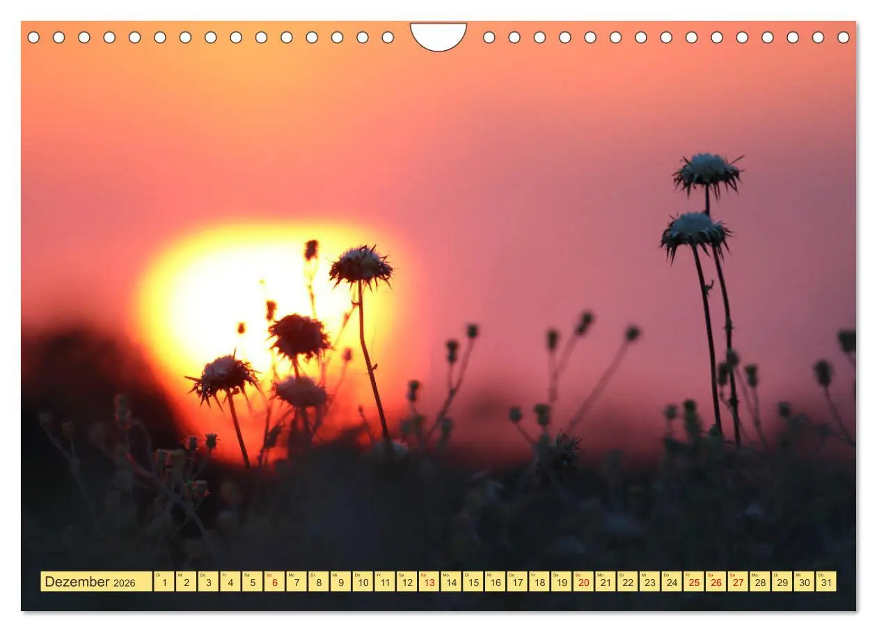 Bild: 9783457846018 | GEORGIEN (Wandkalender 2026 DIN A4 quer), CALVENDO Monatskalender