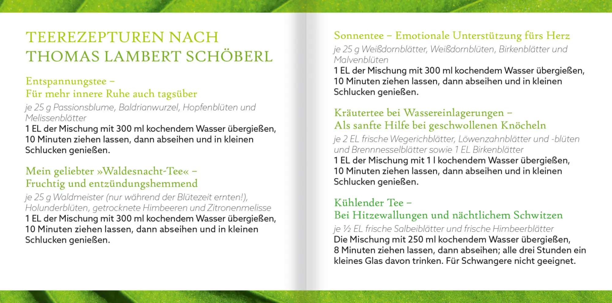 Bild: 9783863746018 | Grüne Seelen. Über die Weisheit der Natur, m. 1 Buch, 1 Audio-CD | CD