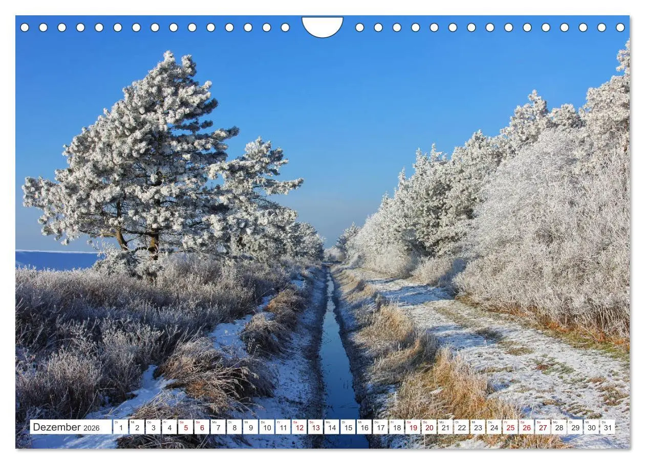 Bild: 9783457906118 | ST. PETER ORDING Strand und Meer (Wandkalender 2026 DIN A4 quer),...