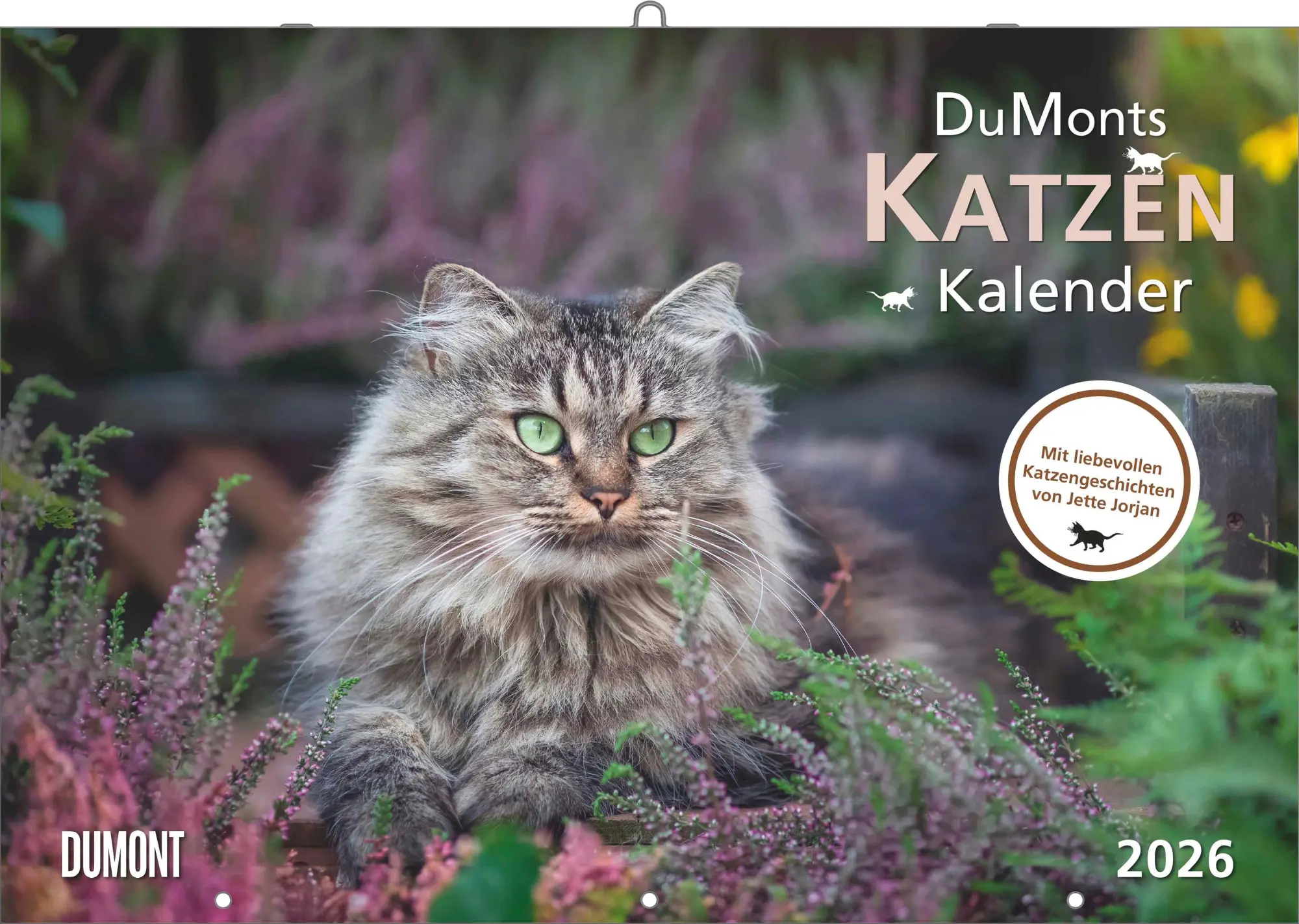 Cover: 4069095006218 | DUMONTS Katzenkalender 2026 - Broschürenkalender - Wandkalender -...