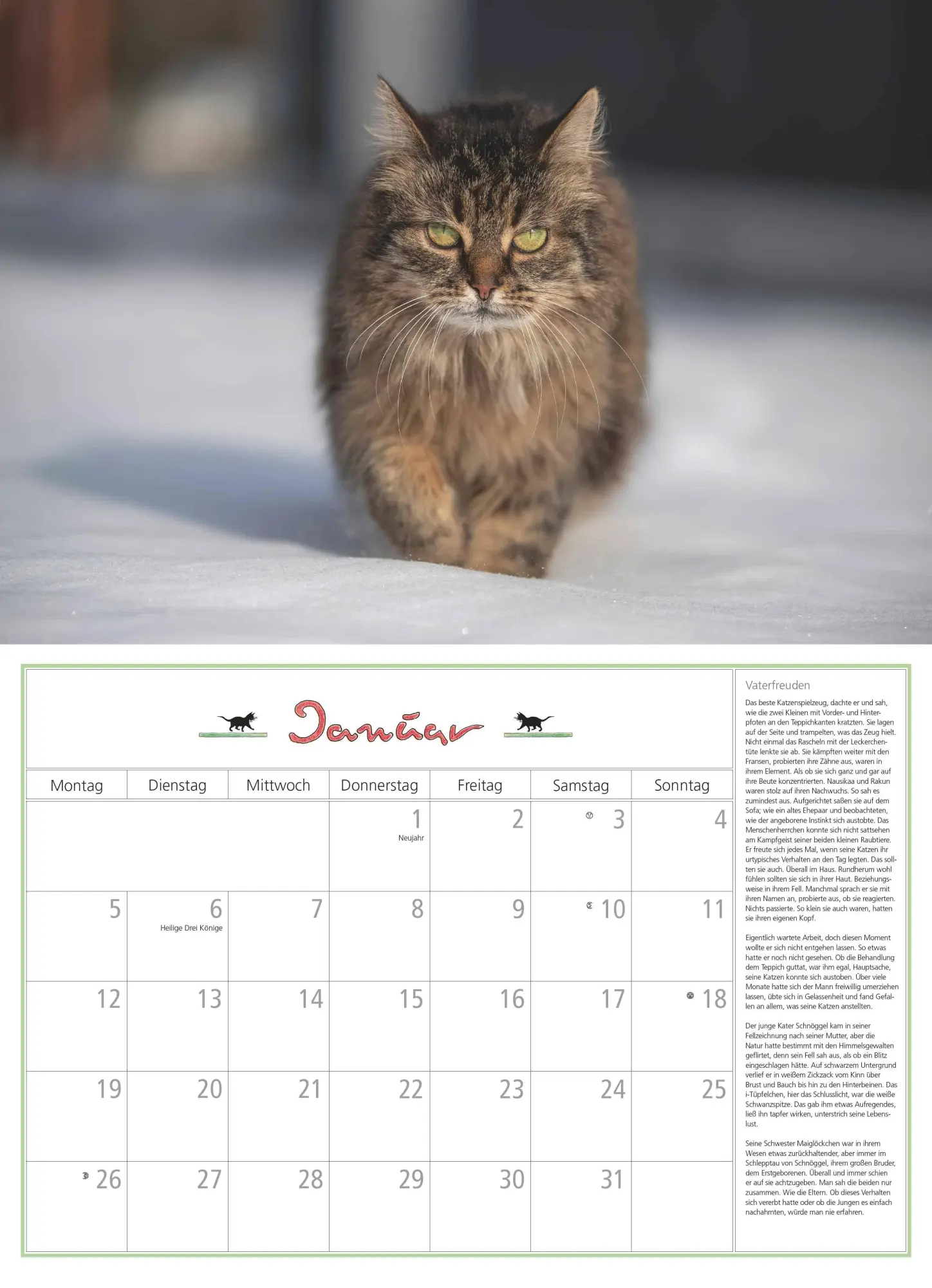 Bild: 4069095006218 | DUMONTS Katzenkalender 2026 - Broschürenkalender - Wandkalender -...