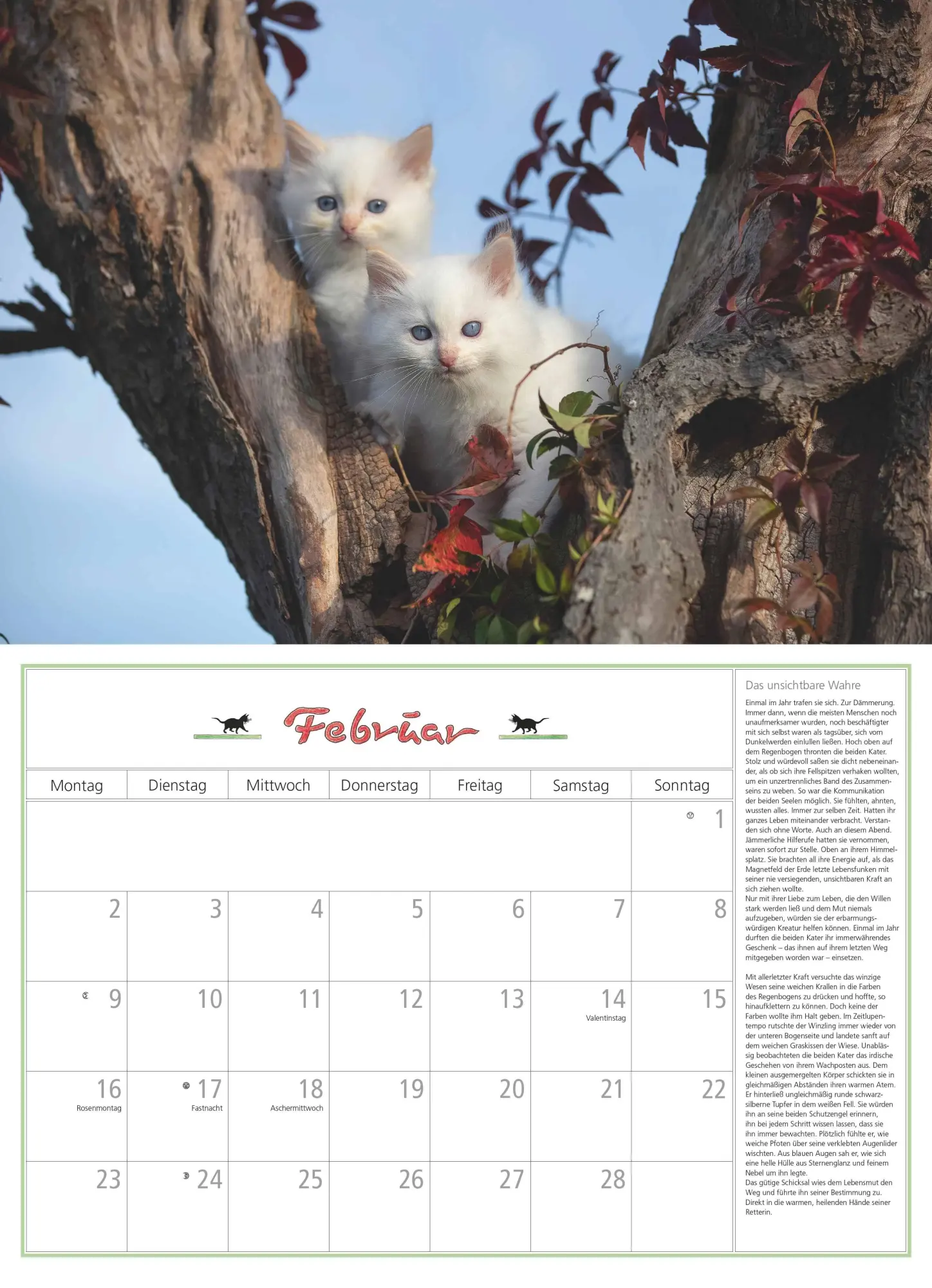 Bild: 4069095006218 | DUMONTS Katzenkalender 2026 - Broschürenkalender - Wandkalender -...