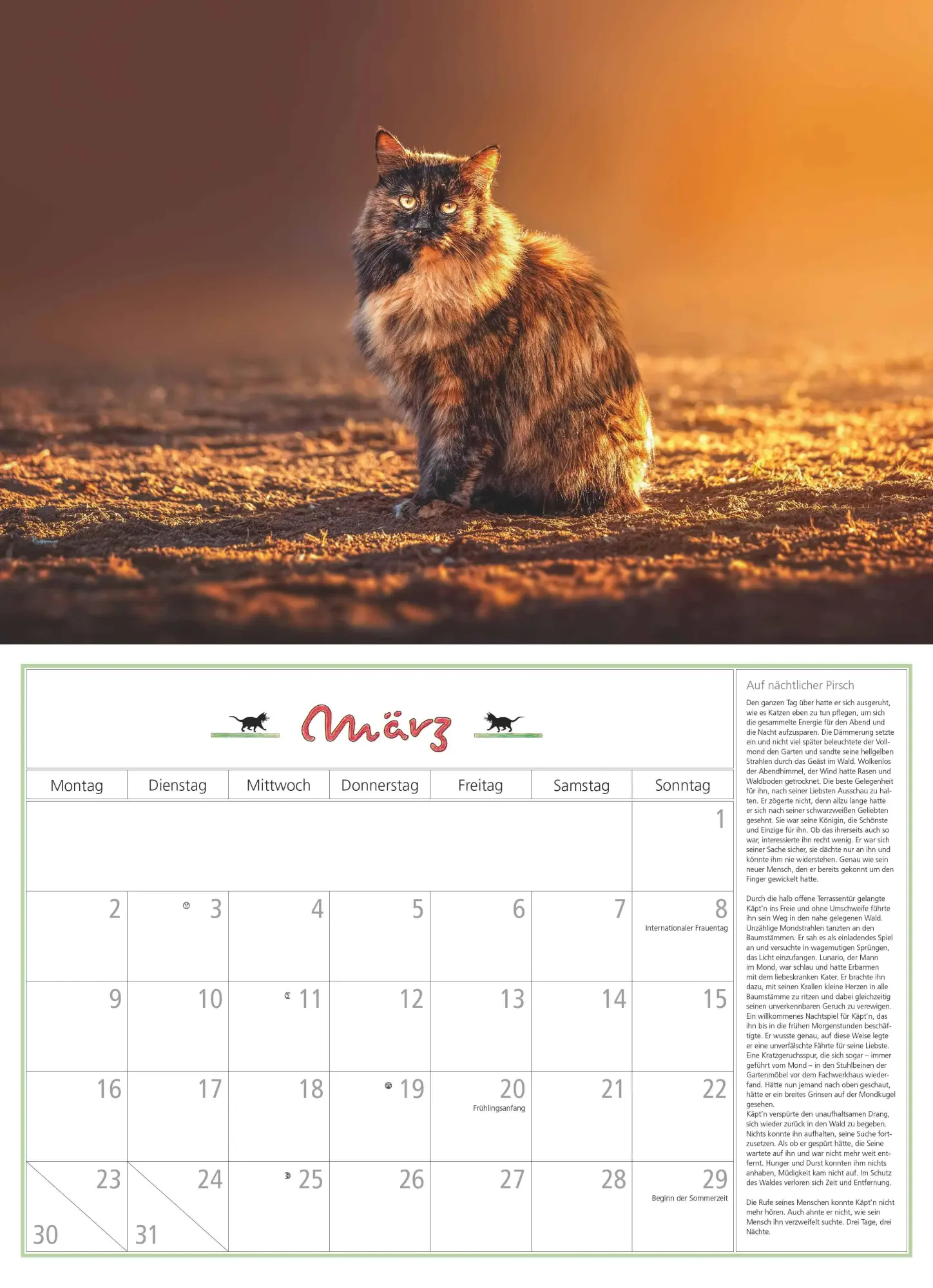 Bild: 4069095006218 | DUMONTS Katzenkalender 2026 - Broschürenkalender - Wandkalender -...