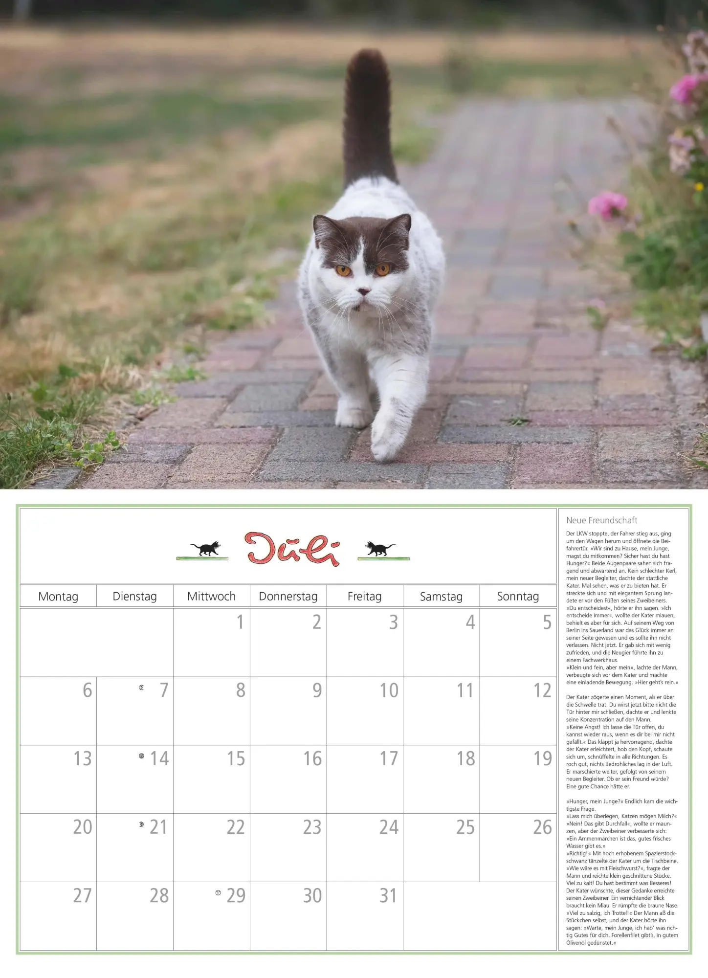 Bild: 4069095006218 | DUMONTS Katzenkalender 2026 - Broschürenkalender - Wandkalender -...