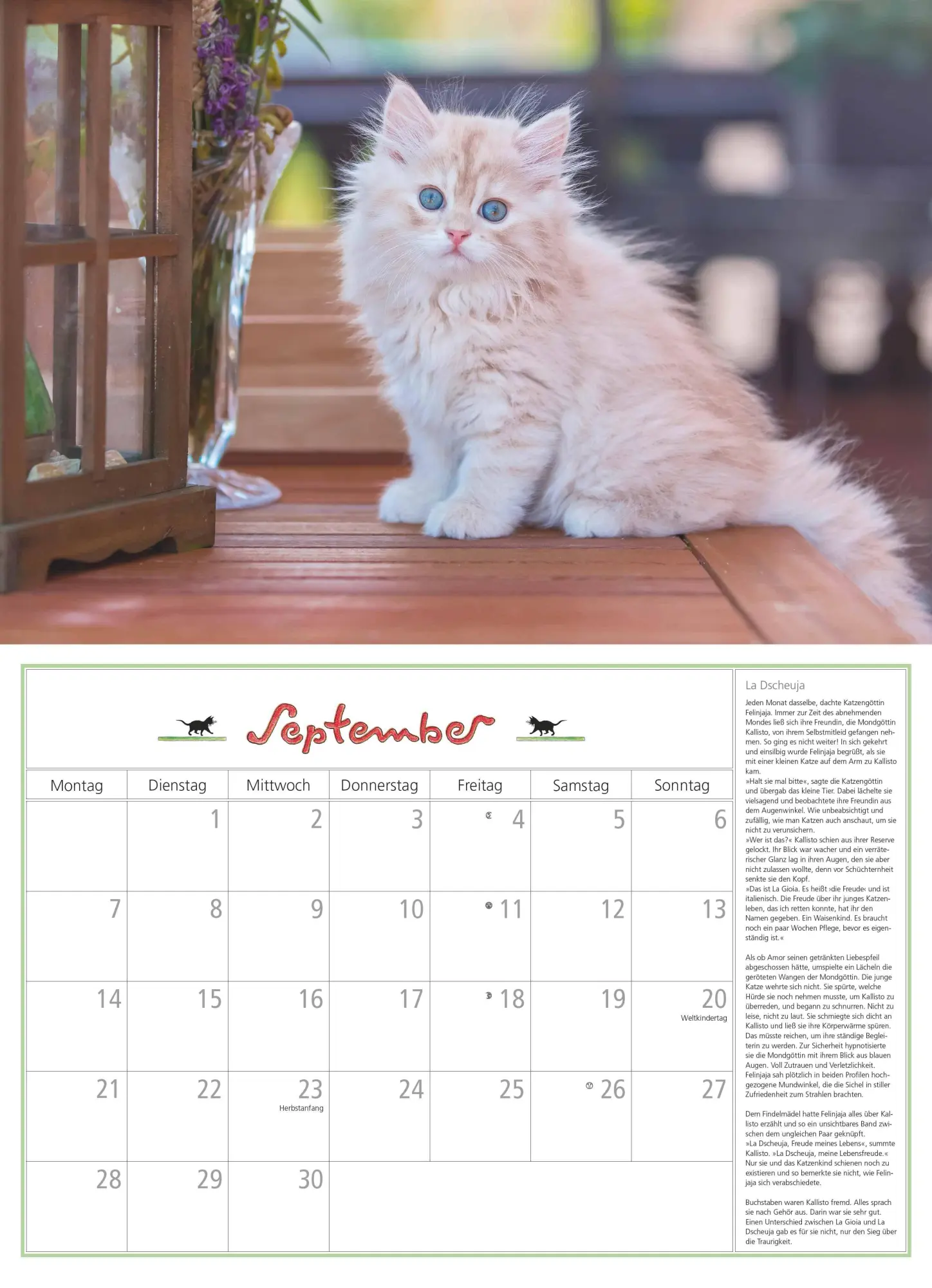 Bild: 4069095006218 | DUMONTS Katzenkalender 2026 - Broschürenkalender - Wandkalender -...