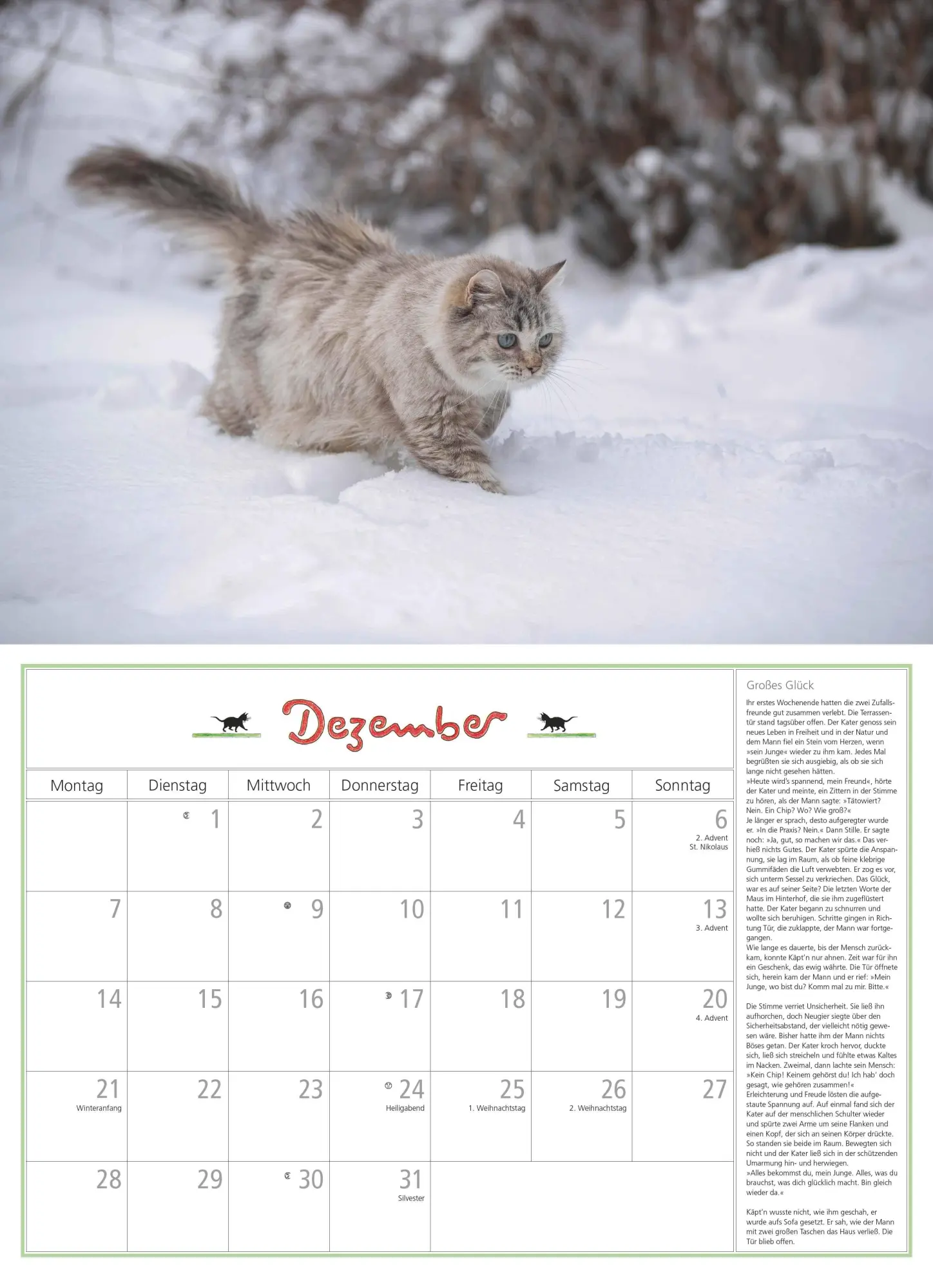 Bild: 4069095006218 | DUMONTS Katzenkalender 2026 - Broschürenkalender - Wandkalender -...