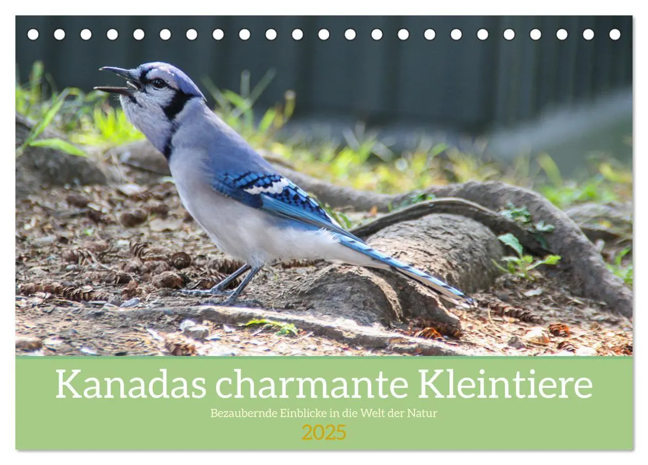 Cover: 9783457206218 | Kanadas charmante Kleintiere - Bezaubernde Einblicke in die Natur...