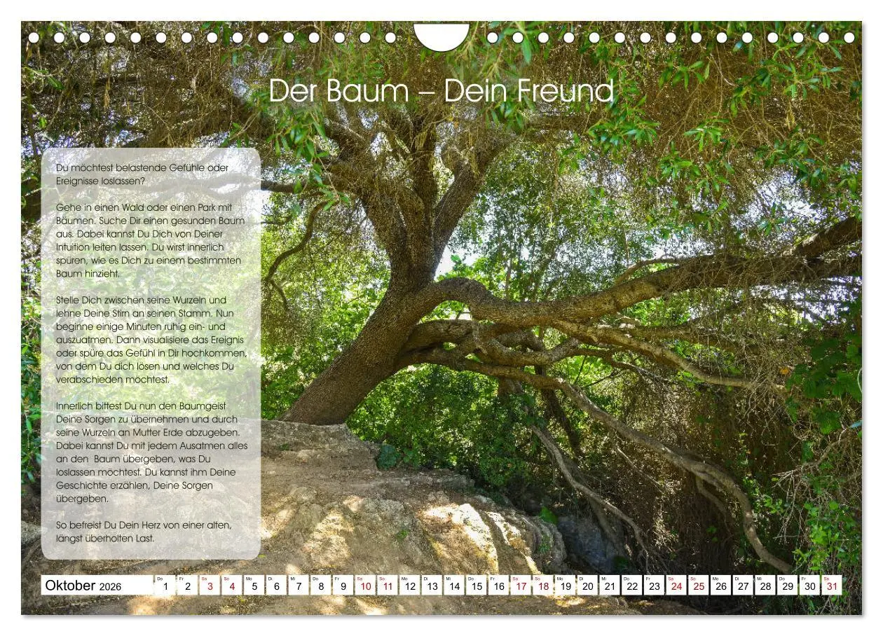 Bild: 9783457756218 | Meditation - Ein Kalender zum Mitmachen (Wandkalender 2026 DIN A4...
