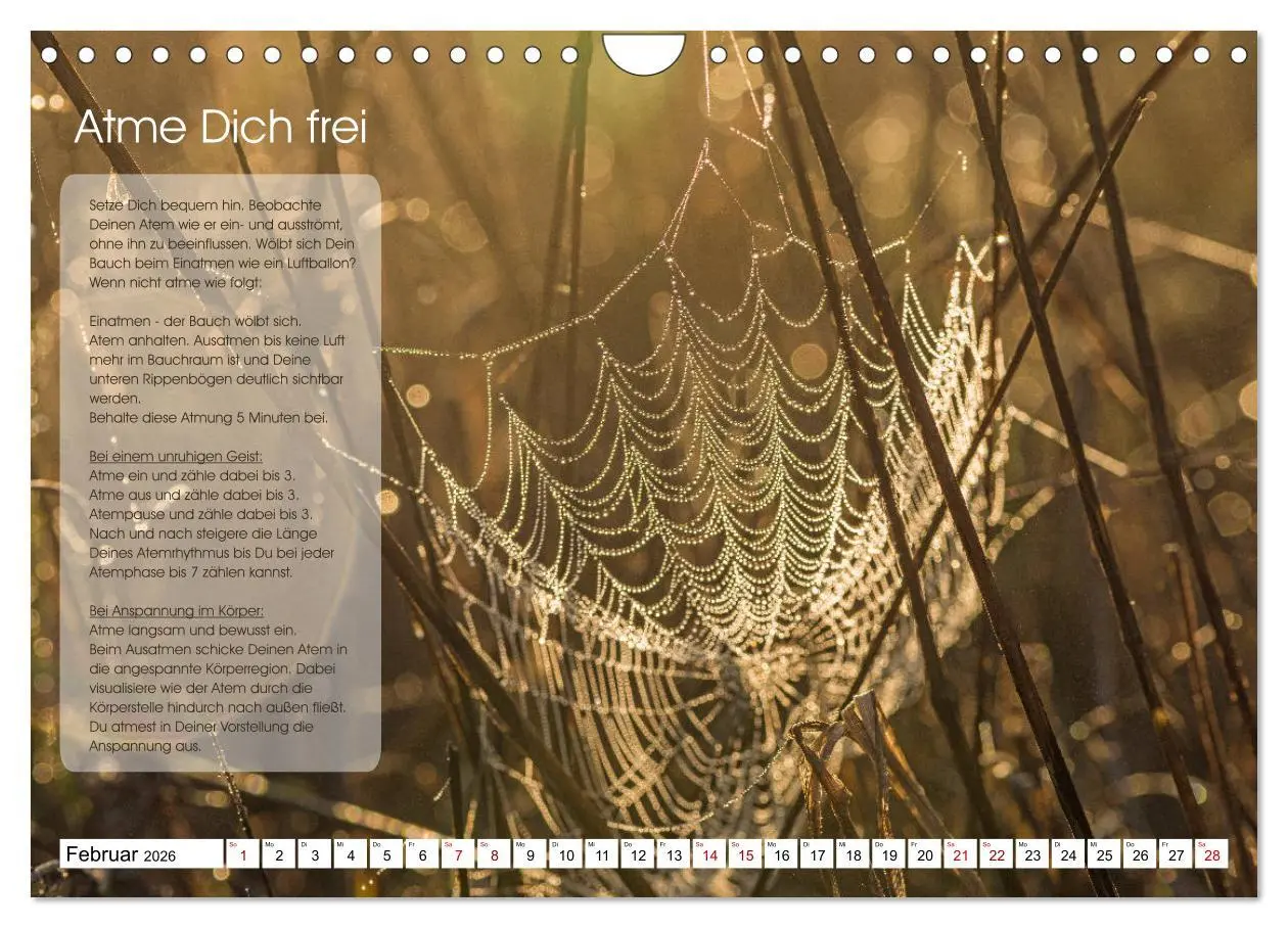 Bild: 9783457756218 | Meditation - Ein Kalender zum Mitmachen (Wandkalender 2026 DIN A4...