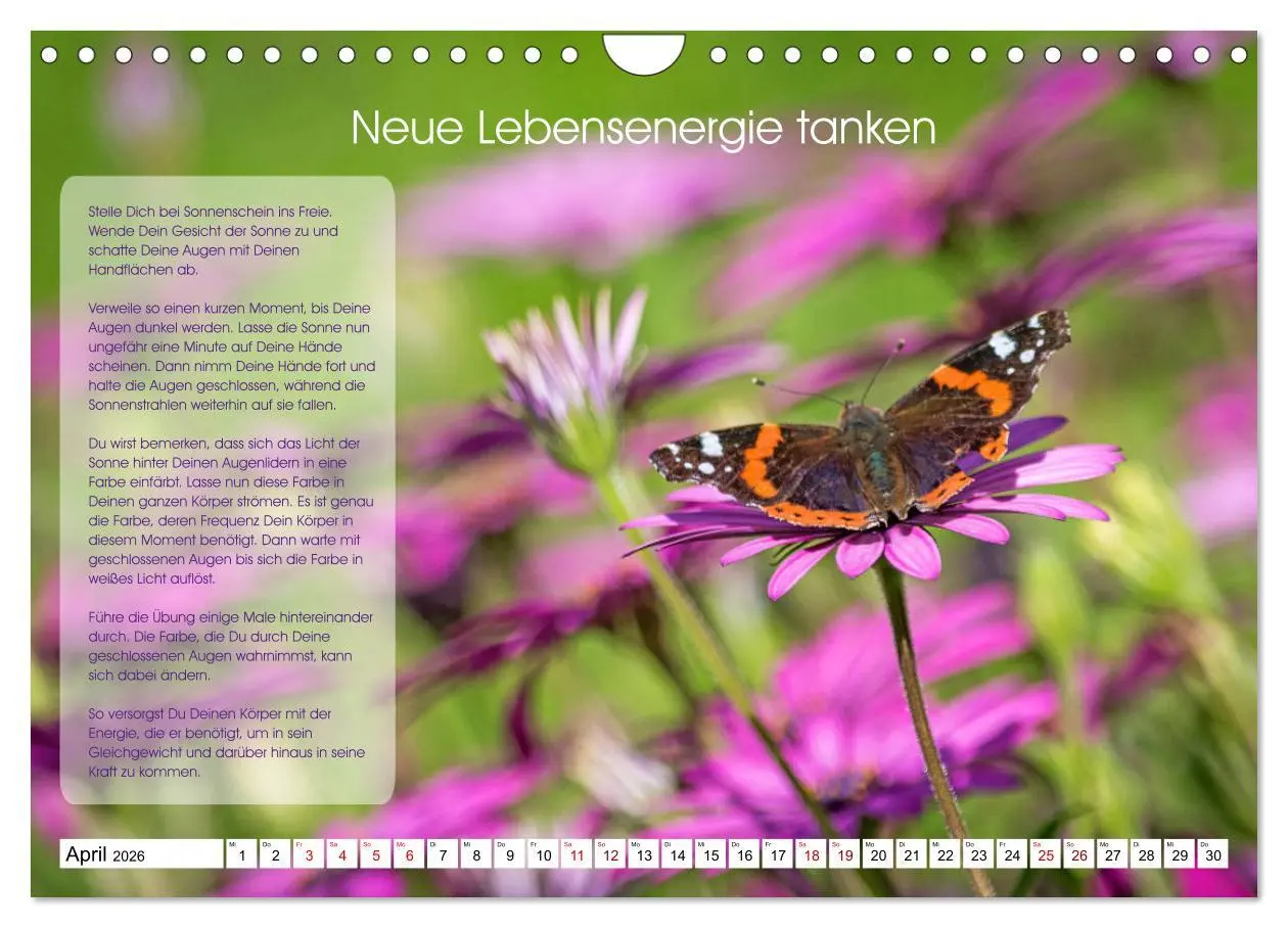 Bild: 9783457756218 | Meditation - Ein Kalender zum Mitmachen (Wandkalender 2026 DIN A4...