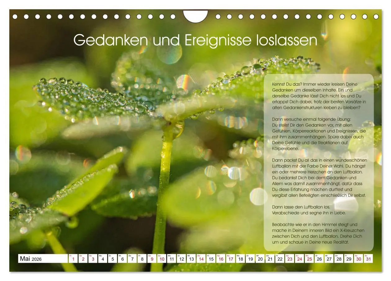 Bild: 9783457756218 | Meditation - Ein Kalender zum Mitmachen (Wandkalender 2026 DIN A4...
