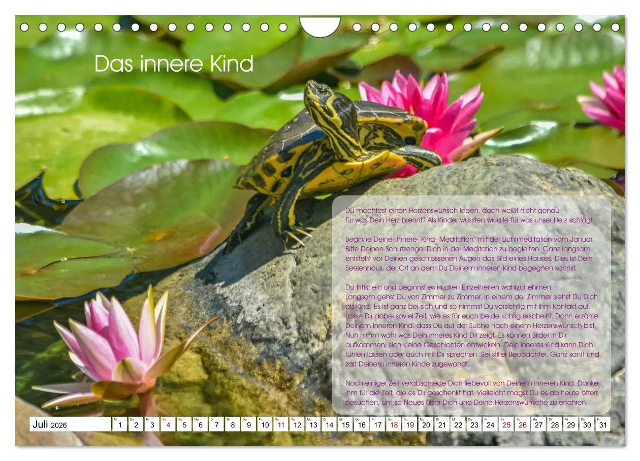 Bild: 9783457756218 | Meditation - Ein Kalender zum Mitmachen (Wandkalender 2026 DIN A4...