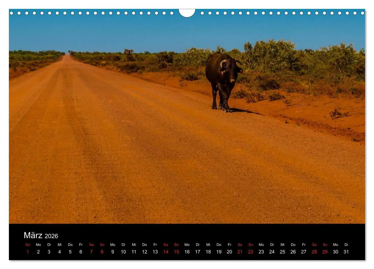 Bild: 9783516156218 | Australien - Der Westen (Wandkalender 2026 DIN A3 quer), CALVENDO...