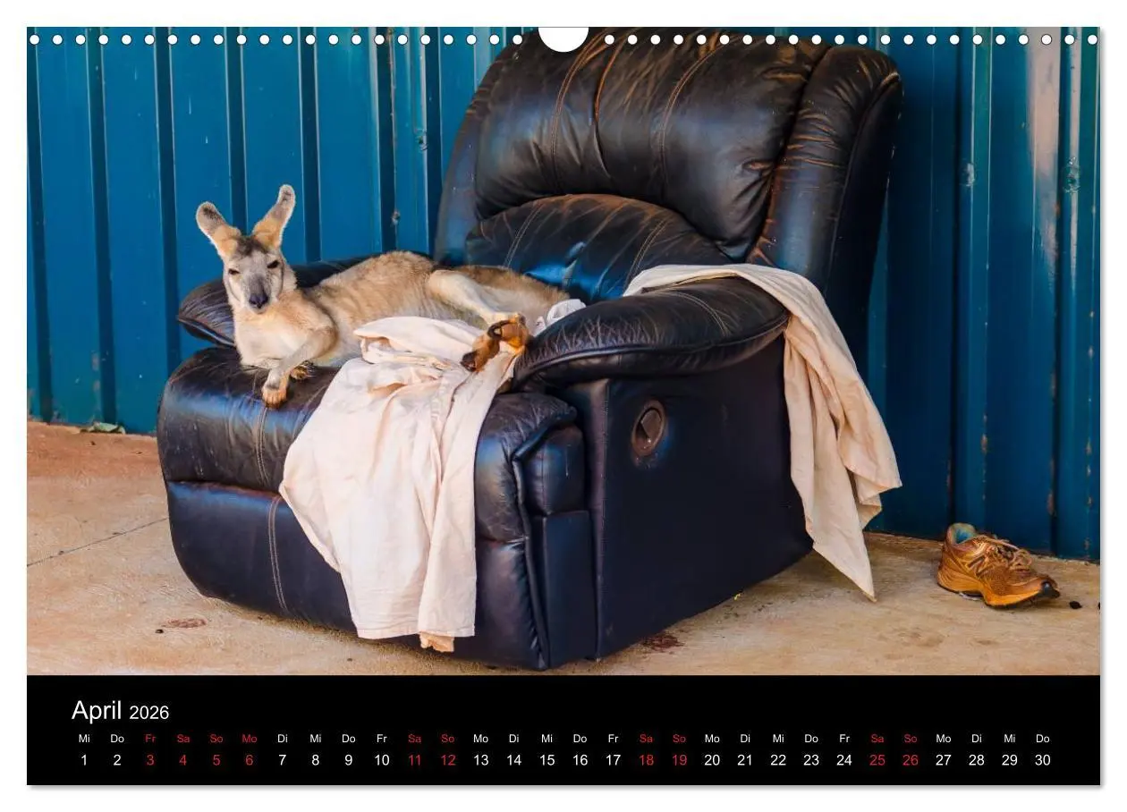 Bild: 9783516156218 | Australien - Der Westen (Wandkalender 2026 DIN A3 quer), CALVENDO...