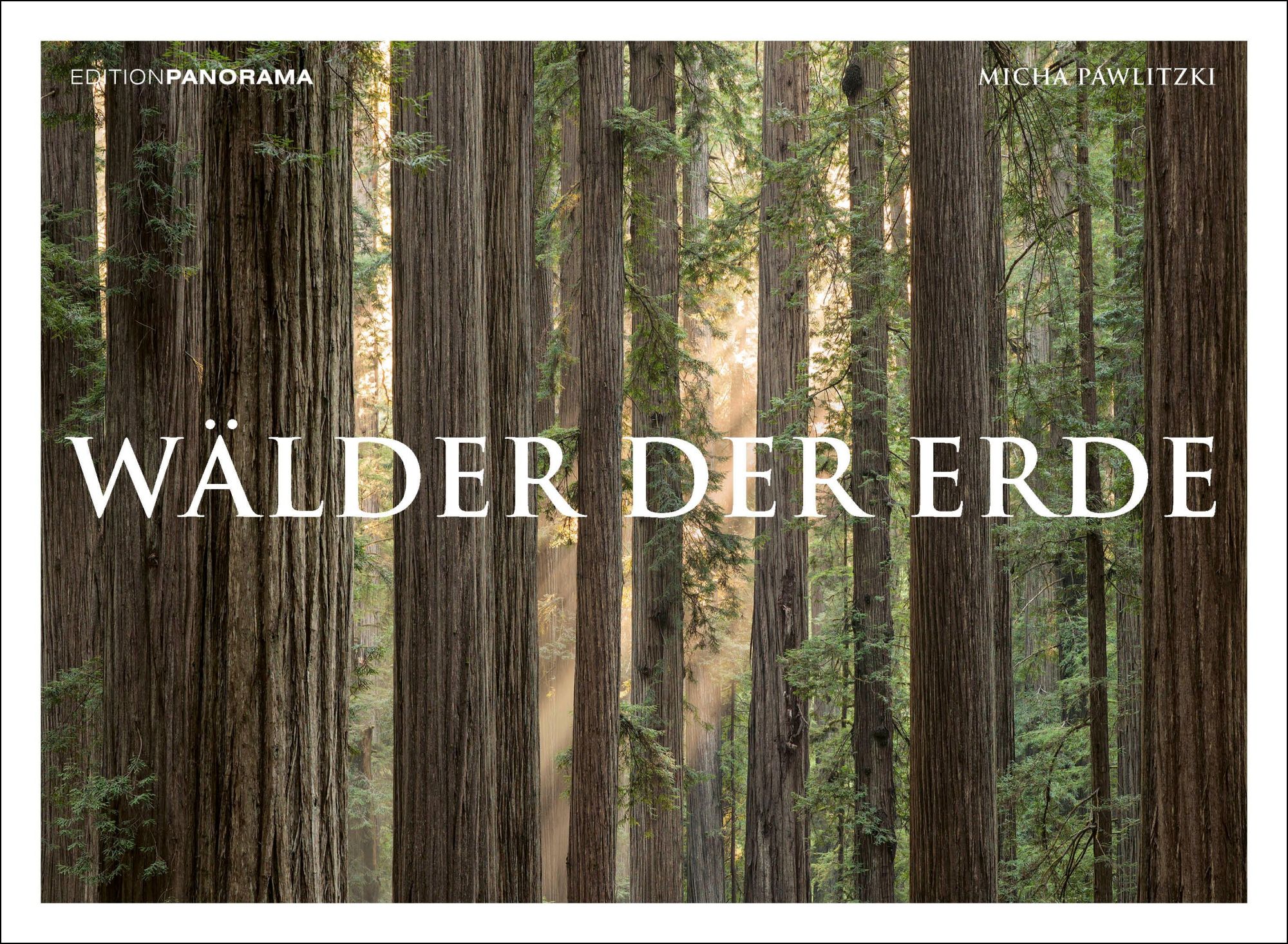 Cover: 9783898236218 | WÄLDER DER ERDE | Immerwährender Kalender im Großformat 80 x 60 cm