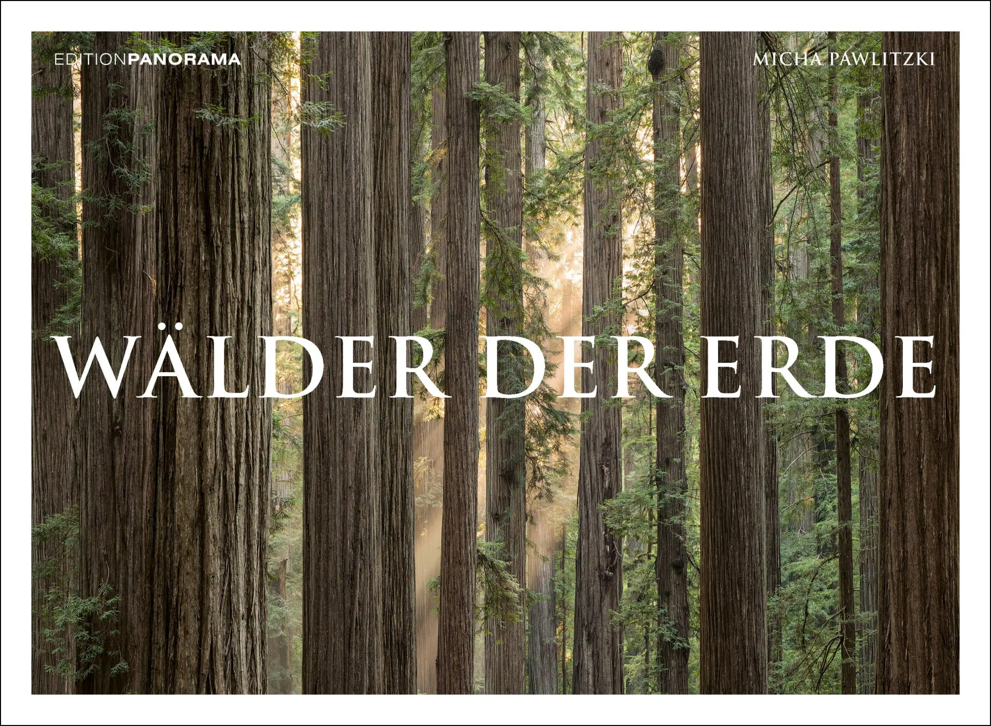 Cover: 9783898236218 | WÄLDER DER ERDE | Immerwährender Kalender im Großformat 80 x 60 cm