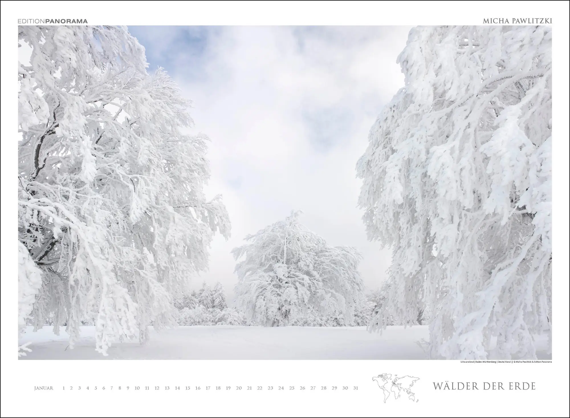 Bild: 9783898236218 | WÄLDER DER ERDE | Immerwährender Kalender im Großformat 80 x 60 cm
