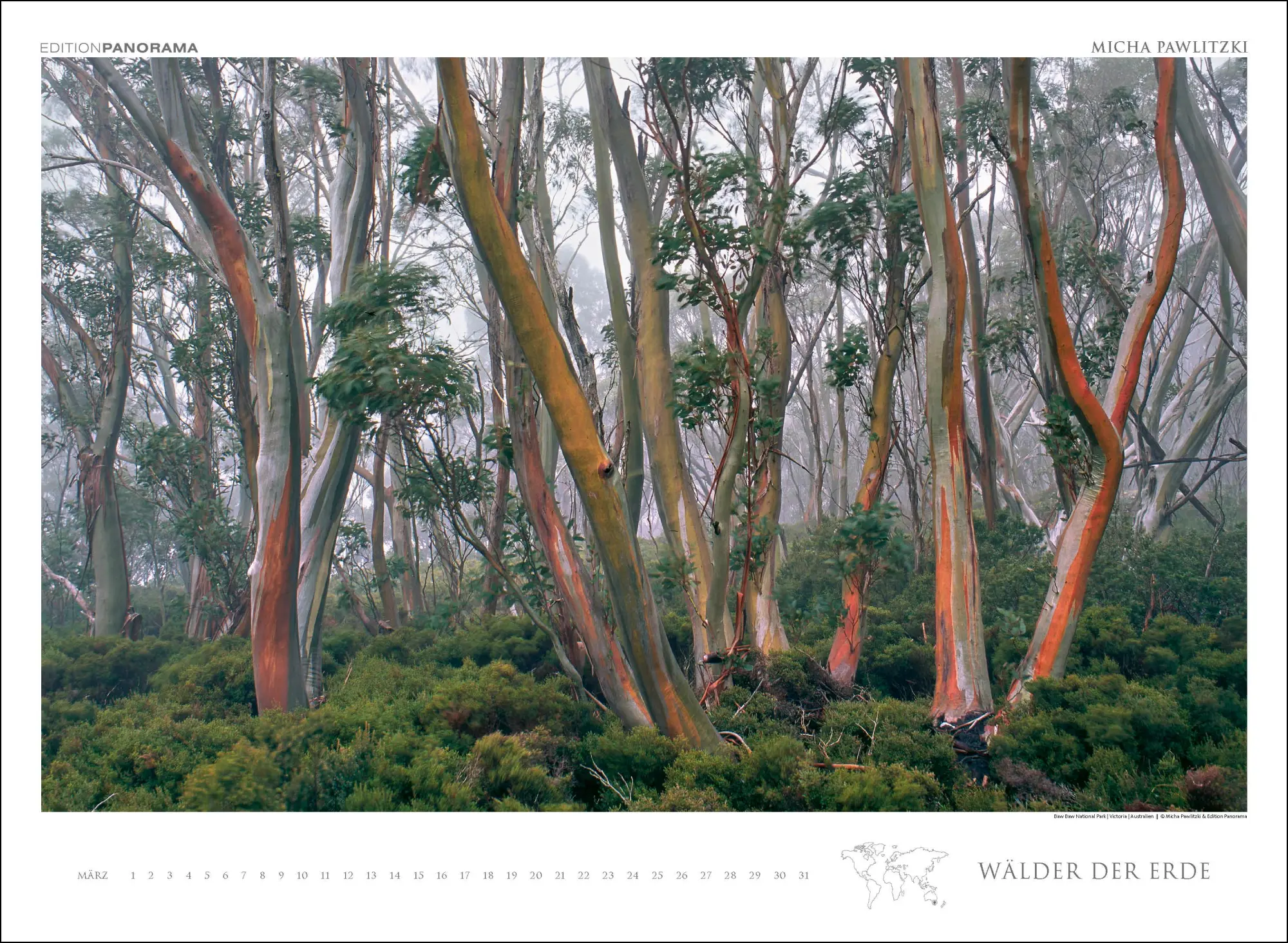 Bild: 9783898236218 | WÄLDER DER ERDE | Immerwährender Kalender im Großformat 80 x 60 cm